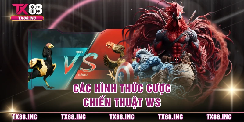Các hình thức cược chiến thuật WS 