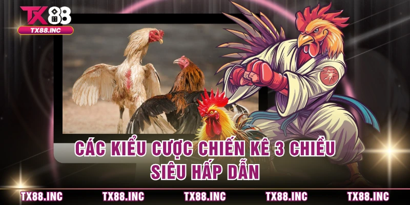 Các kiểu cược chiến kê 3 chiều siêu hấp dẫn