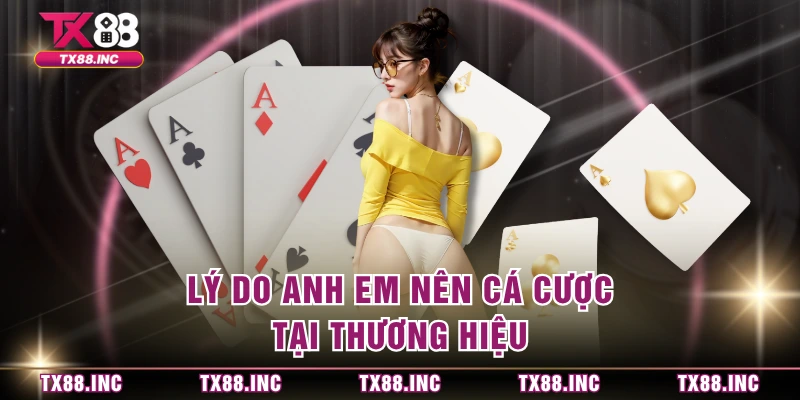 Lý do anh em nên cá cược tại thương hiệu 