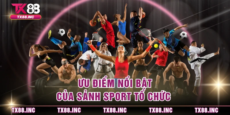 Ưu điểm nổi bật của sảnh sport tổ chức 