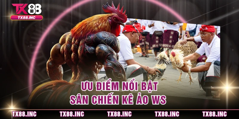 Ưu điểm nổi bật sân chiến kê ảo WS 